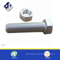 Bolt and Nut